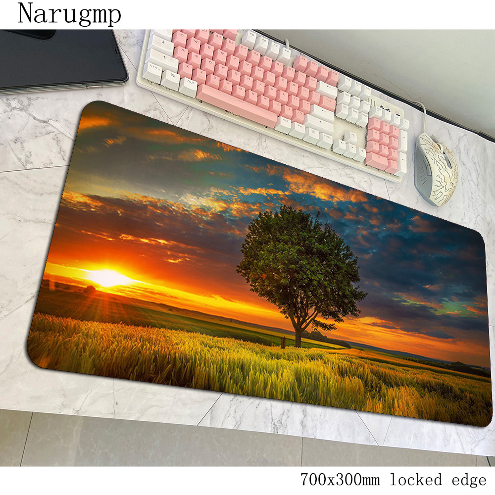 Sunset Mouse Pad Beautiful Ani - Pc Gaming World Of Warcraft review and price